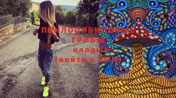 spice Бугульма
