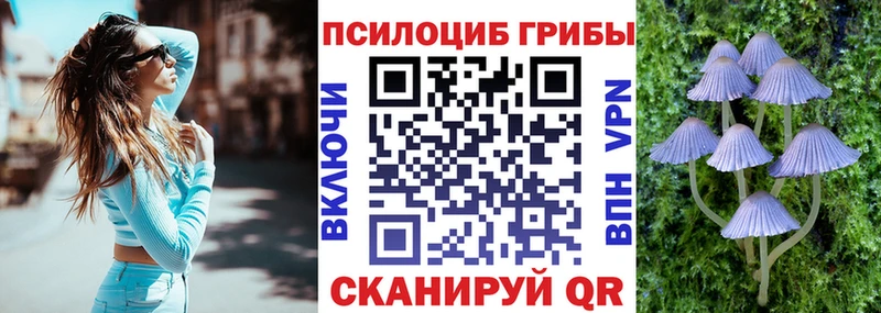 Псилоцибиновые грибы мухоморы  Шадринск 
