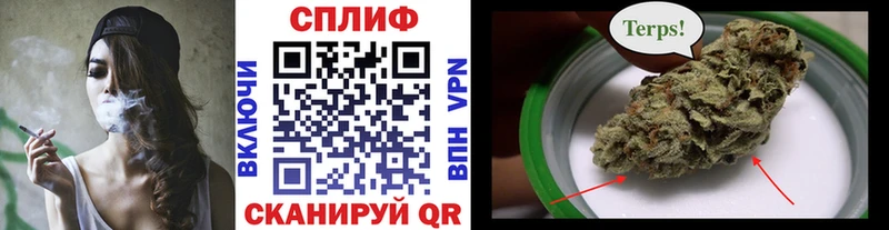 цены   Шадринск  мега вход  МАРИХУАНА SATIVA & INDICA 